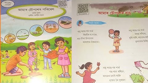 আমাৰ চৌপাশৰ বায়ু/পাঠ-৮/তৃতীয় শ্ৰেণীৰ/প্ৰশ্নৰ-উত্তৰ #scert #class3 #evs 