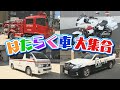 #2 はたらくくるま大集合！はしご車・ポンプ車などの消防車や救急車＆パトカー・白バイ＆テレビ中継車など盛りだくさん！（子育て応援団すこやか2020オンライン）