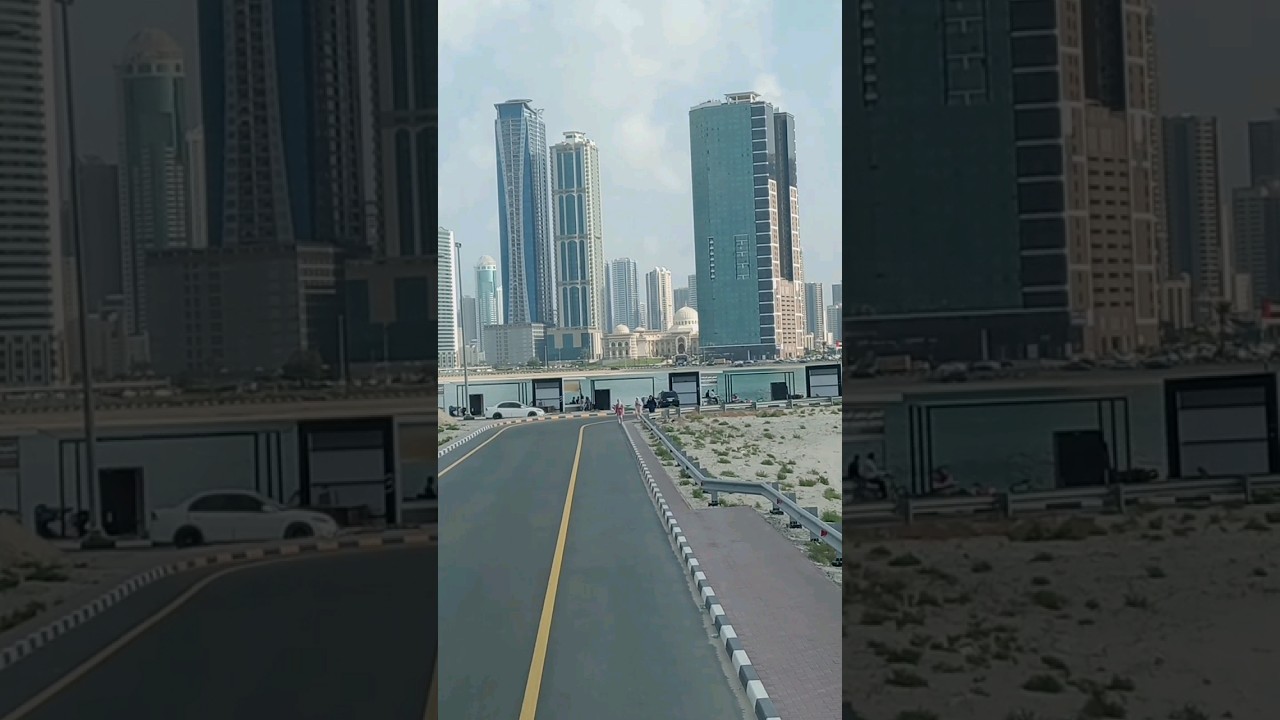 🌊🌴🌞 Seaview 