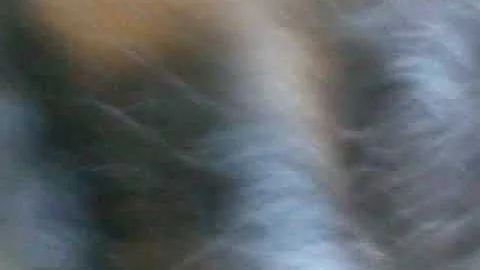 Mis trenzas echas por Jasmin valerio comenten el v...