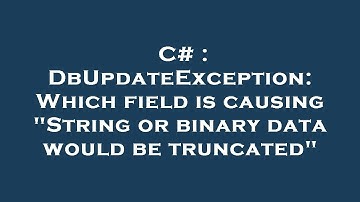 C# : DbUpdateException: Which field is causing "String or binary data would be truncated"