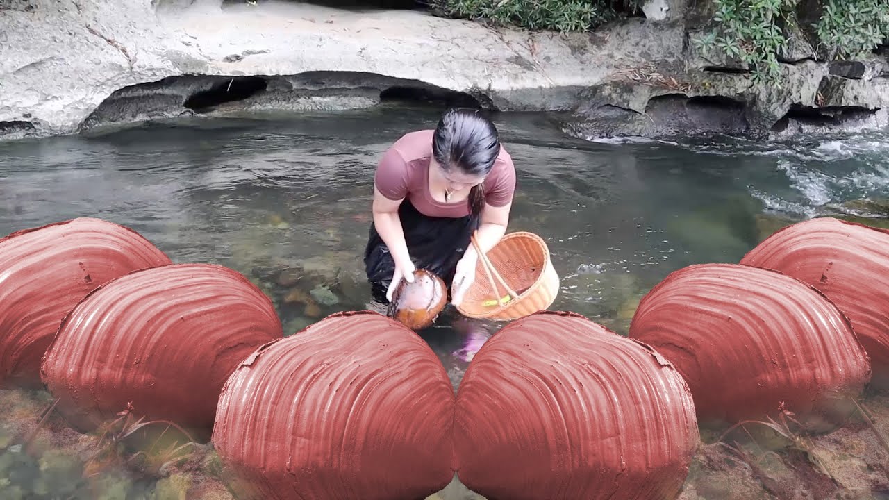 😲Mutated Clam’s Rare Pearls: Teen’s Riverbed Discovery Sparks Wonder and Local Fascination