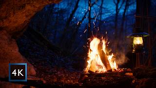 Celebrity Campfire in a Hidden Forest Cave 🔥 Warm Firelight at Twilight | Cozy Night Ambience (4K) Wealth