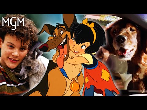 Video: Šīs 8 ikonas filmas ainas atkārtoti ieviesīs jums, kāpēc jūsu suns ir ideāls Valentīns