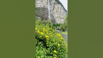 ولو شاء الله لجعلهم أمة واحدة/مقطع قران قصير تلاوة خاشعة من روائع الشيخ سنكر عبدالقادر الكردي