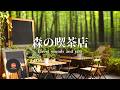 環境音+JAZZ やさしい森の喫茶店 自然環境音で癒しの時間 リラックスタイム 読書、勉強、仕事が捗りやすくなる Relaxing Jazz 環境音 - 作業用BGM