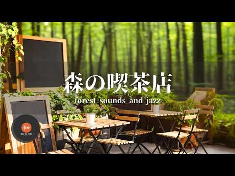 環境音+JAZZ やさしい森の喫茶店 自然環境音で癒しの時間 リラックスタイム 読書、勉強、仕事が捗りやすくなる Relaxing Jazz 環境音 - 作業用BGM