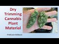 Dry trimming cannabis plant material