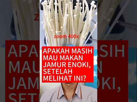 Aneka Olahan Jamur Enoki Untuk Anak