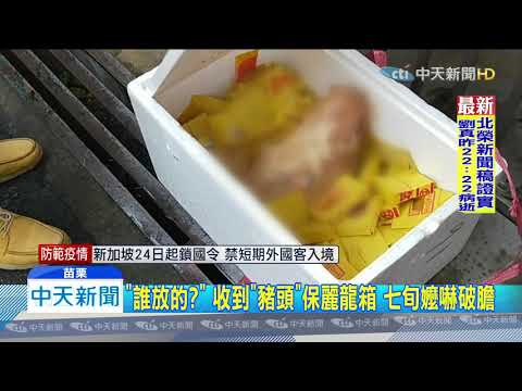 20200323中天新聞　「豬頭、紙錢」擺家門口！　檢座：不構成恐嚇不起訴
