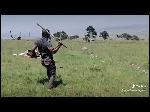 Mfaniswa Noyise