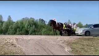 В Мечетлинском районе тойота протаранила гужевую повозку с людьми