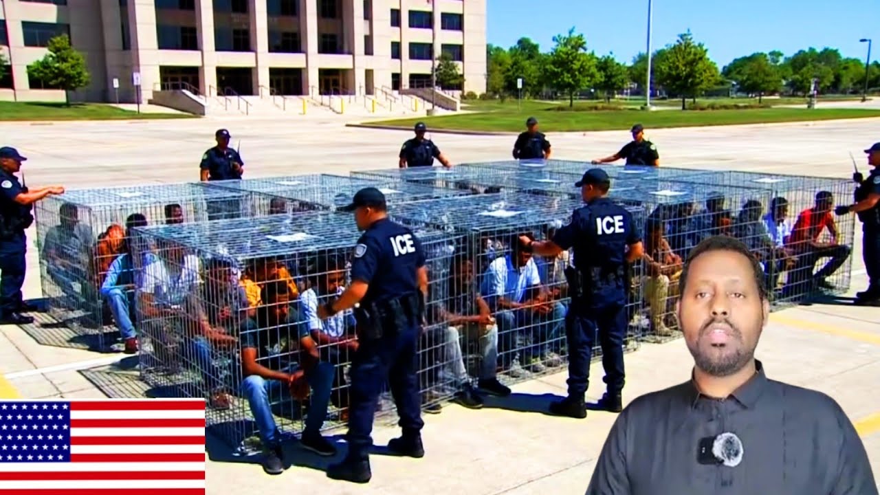 war deg deg ah January 17, 2026