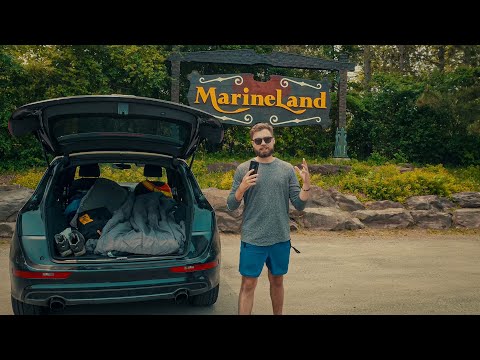 Car Camping at Marineland | Audi Q5