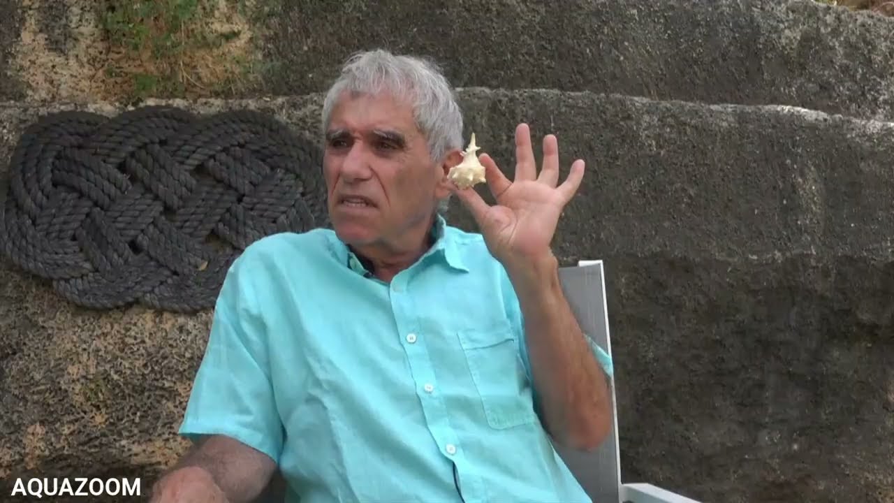 הפקת צבע ארגמן מחילזון 