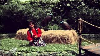 Download lagu Iman Fallah - Jane Mar( Video)