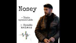 Nosey - yüzün aynalarımda , sende kalmış (prod.by kaanhami /prod.by uğur Tekcan) (2)