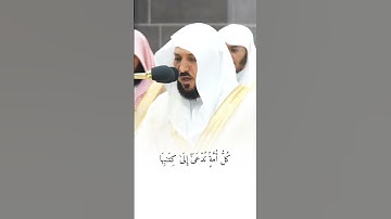 قبس من تلاوة فضيلة الشيخ #ماهر_المعيقلي بـ ‎#المسجد_الحرام ⁧من ليلة 26 #رمضان 1445هـ