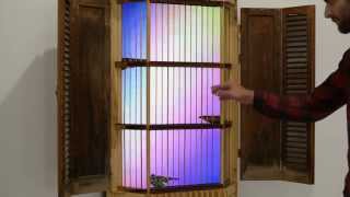 Starling Cage clip 2