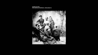 Cosmo Bloom - Exhibition Evolution