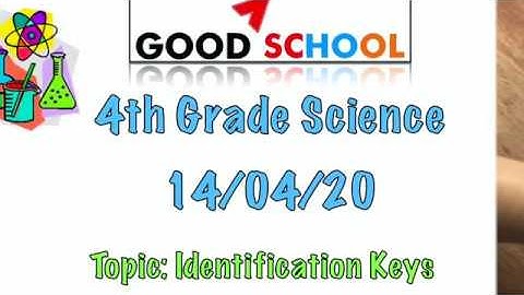 4th Grade Science - 14/04/20: Identification Keys