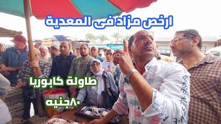 السمك ببلاش| ومن غير حساب| مزادات المعديه| سمك طازه من المراكب