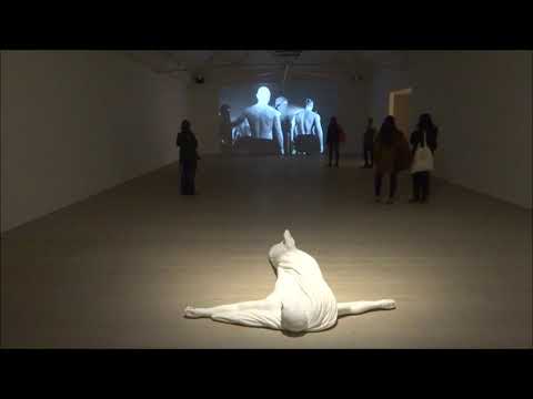 Video: Aidan Salakhova Tại Saatchi Gallery