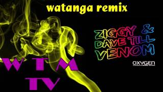 ZIGGY  Dave Till ---Venom (watanga remix)