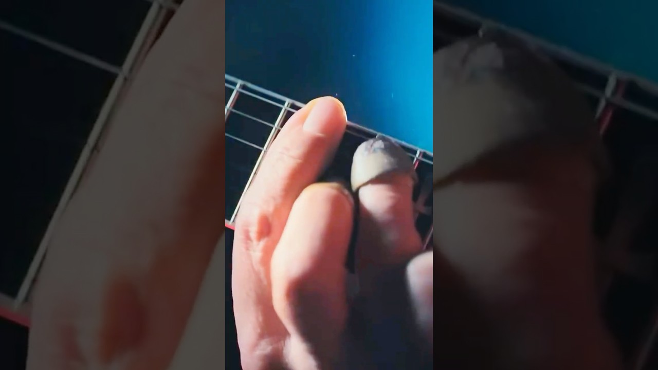 This Guitarist Was on Another Level 🤯