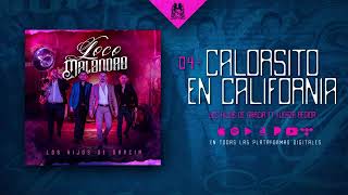 Los Hijos De Garcia Ft Fuerza Regida | Calorsito En California | Letra 2019