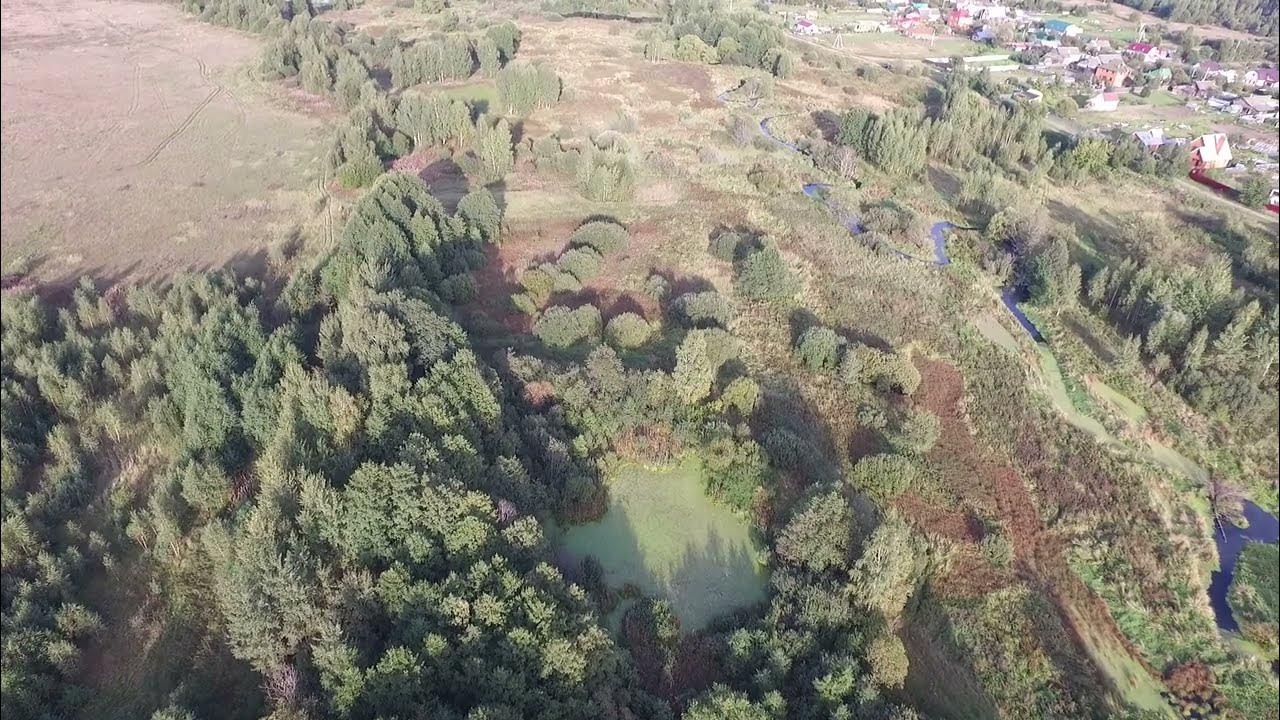 47 гектаров. 4 гектара фото. 47 гектаров. 3000 гектар в километрах. Заполицы владимирская область.
