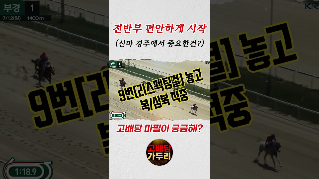 고배당 마필이 궁금해???