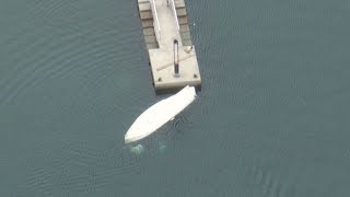 ボート転覆、23人全員救助  淡路島近く、神戸大端艇部