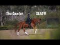 The Canter Seat! Too loose, too tight, or just right!