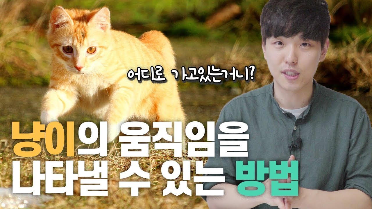 '속도'는 물체의 빠르기 뿐만 아니라, 방향도 알려줍니다. | 미분이 왜 필요한 지 알게 되는 영상! | 1일 1쿠키 EP05