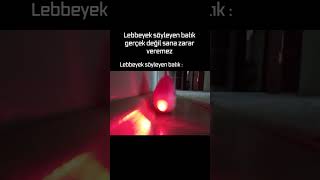 Lebbeyek Söyleyen Balık