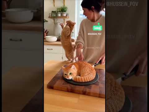 لایک کامنت ساوزکراپ یادتون نره    