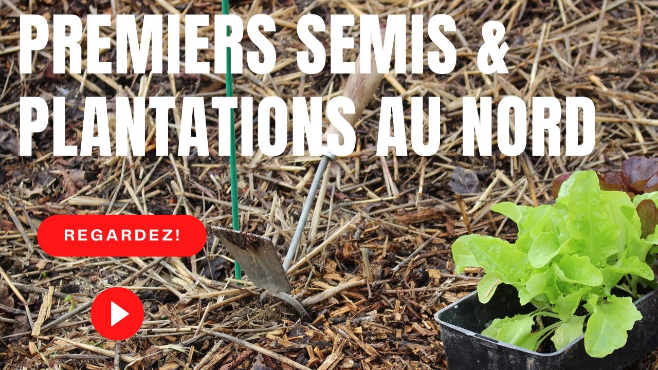 Allez c'est parti premières plantations au potager au nord.