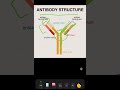 Antibody structure #neet #biology #cuet #biologia #immunology #ytshorts #fyp #explore
