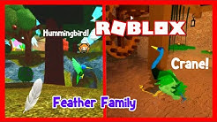 feather family roblox wiki robux no survey or verification