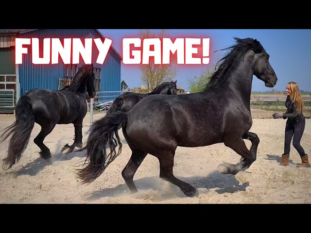 Fastupload.io on X: Horse World ! Lets Play Roblox Online Horses Game Play  Video Link:  #channel #child #Children #clydesdale  #drafthorse #family #familyfriendlyvideos #forchildren #forkids #friendly  #fun #game #gameplay