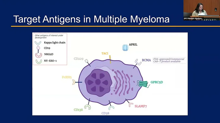 CAR T and Bispecific Antibody Therapies in Multiple Myeloma