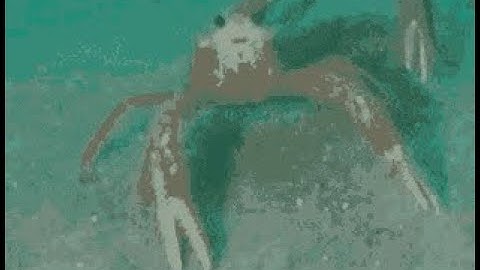 rogue lineage mods deserve the stereotypes