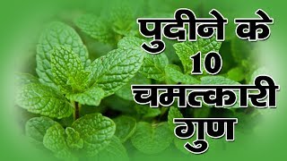 पुदीने के 10 चमत्कारी गुण | Benefits of Mint Leaves in Hindi screenshot 3