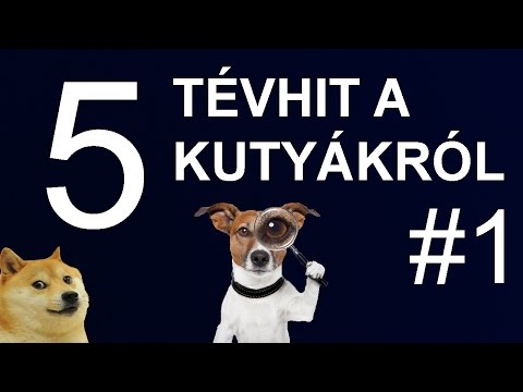 Videó: 6 bizarr módszerek kutyáink beszélnek velünk