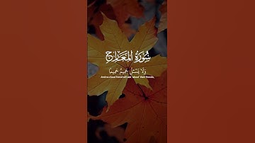 سورة المعارج _ فاصبر صبرا جميلا _ الشيخ ماهر المعيقلي #قرآن #short