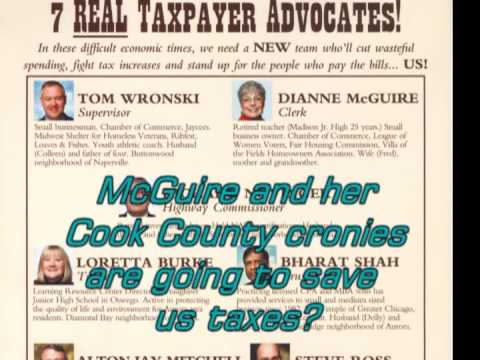 Dianne McGuire Tax Vampire