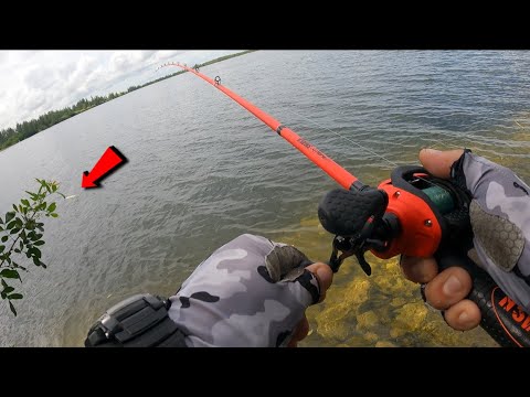 Video: ¿Qué tan profundo es el lago Benbrook?