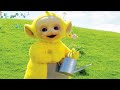 Teletubbies Italiano ⭐ Fare fiori ⭐ Episodio 10 Stagione 1