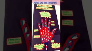 🦴 Hinge Joint Working Model | Hinge Joint Model That Actually Moves!#viral #diy #trending